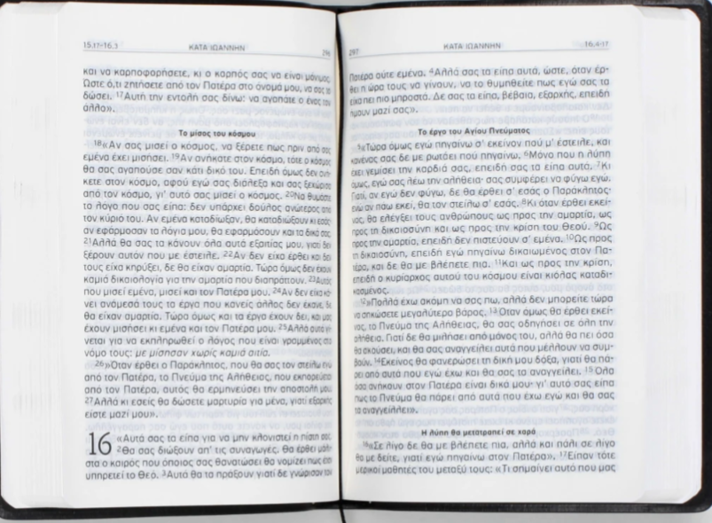 Greek New Testament Bible